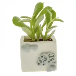 vasi portapiante in...