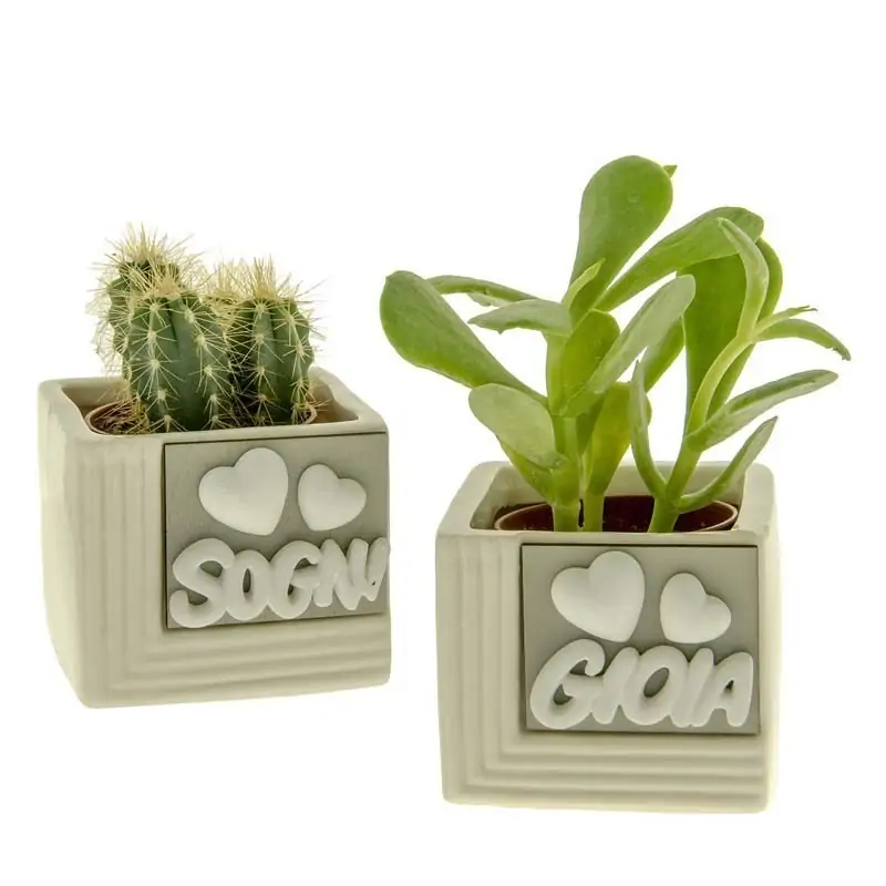 portapiante da interno in resina e porcellana con scritte