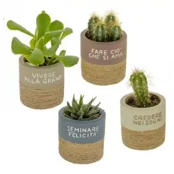 VASI PORTA PIANTE IN TERRACOTTA CON FRASI BOMBONIERE UTILI