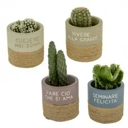 VASI PORTAPIANTE CON FRASI...