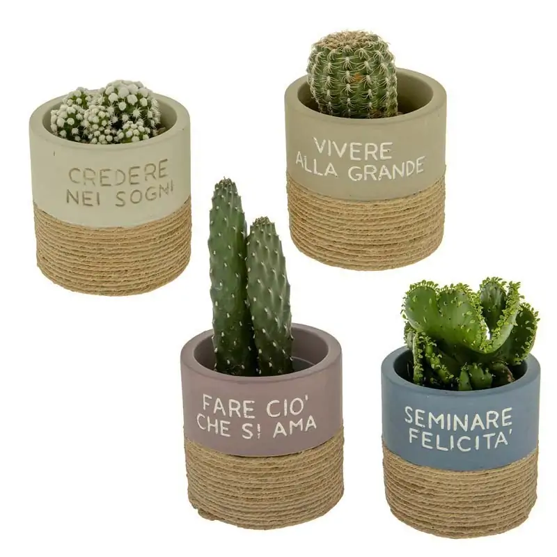 VASI PORTAPIANTE CON FRASI BOMBONIERE UTILI