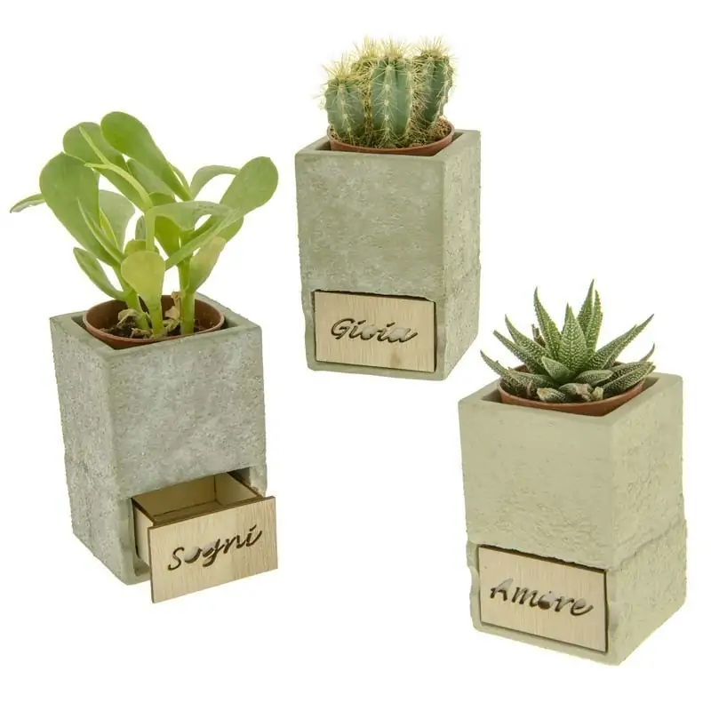 vasi portapiante in terracotta bomboniere originali matrimonio