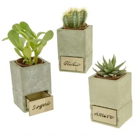 vasi portapiante in terracotta bomboniere originali matrimonio