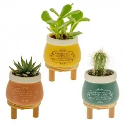 bomboniere porta piante 3...