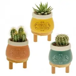 bomboniere portapiante...