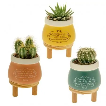 bomboniere portapiante colorati con stand in legno