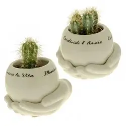 vaso per piante in...