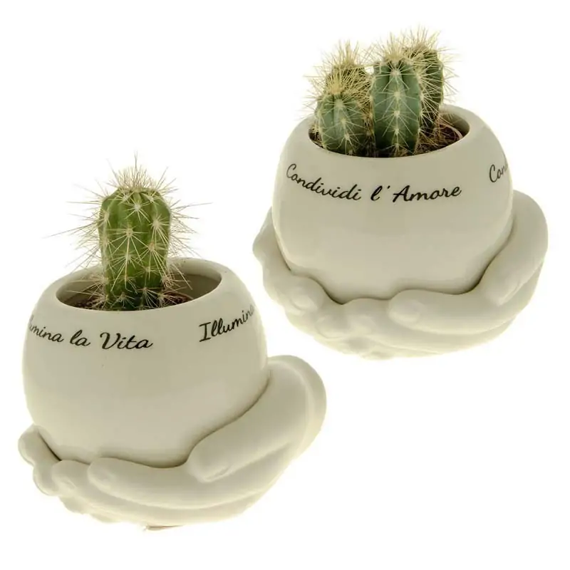 vaso per piante in porcellana con mani e frasi bomboniere