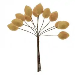 limoni decorativi per...