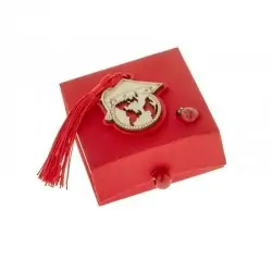 scatoline per confetti laurea con coccinella e applicazione in