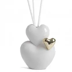 diffusore x ambiente doppio...