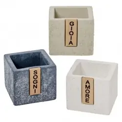 ECRIT P/PIANTE CM.7 H.6 S/3...