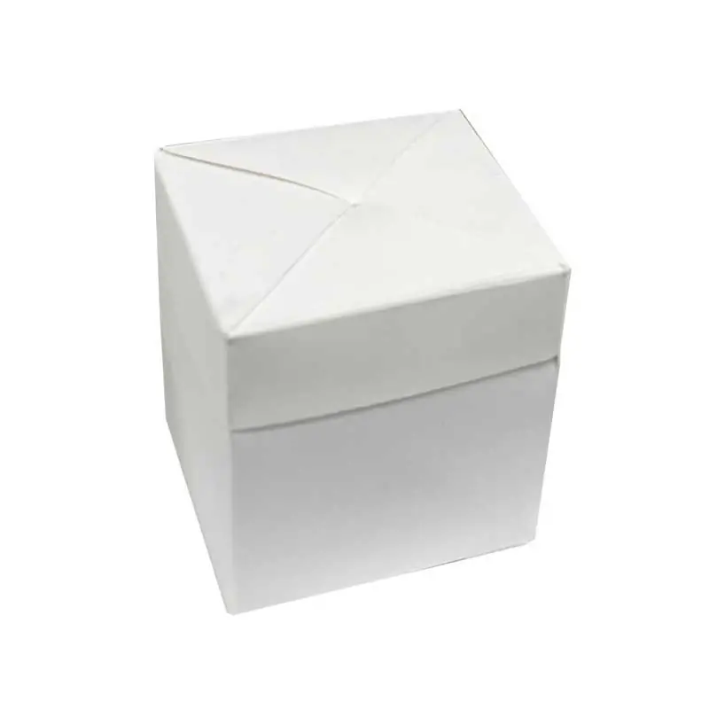 SCAT BICOLORE BIANCO 6X6X6