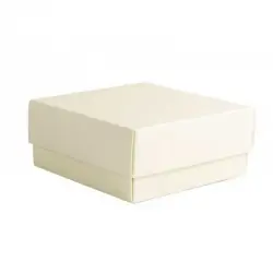 scatola 10x10x4 PANNA