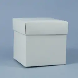 F/C 12X12X6 PELLE BIANCA