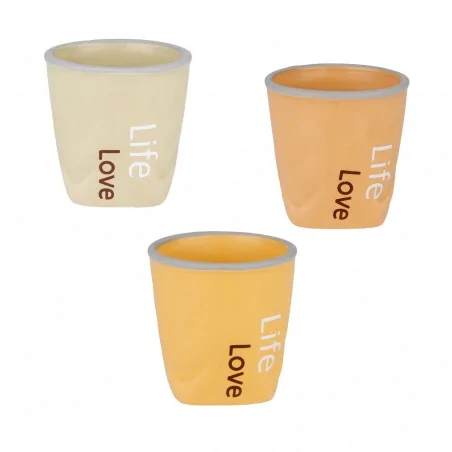 LIFE P/PIANTA DM.6,5 H.6,5 S/3 6/72