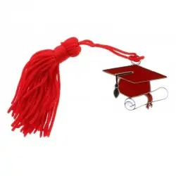 Bomboniera Ciondolo Laurea...