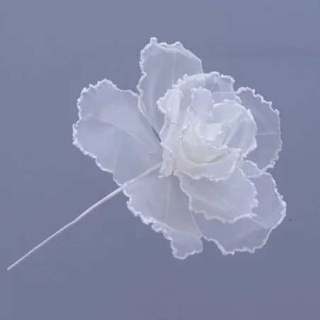 ROSE FIORE DM.28 H.40 AVORIO 12/144