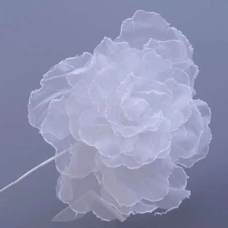 ROSE FIORE DM.50 H.50 BIANCO 1/24