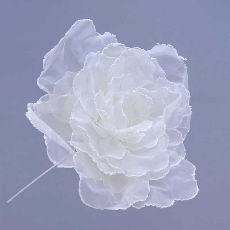 ROSE FIORE DM.50 H.50 AVORIO 1/24