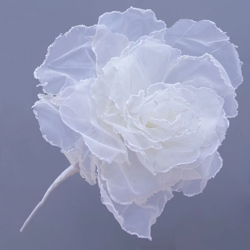 ROSE FIORE DM.60 H.65 BIANCO 1/12