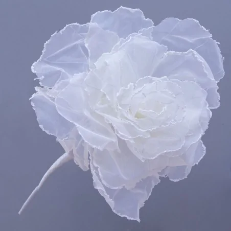 ROSE FIORE DM.60 H.65 BIANCO 1/12