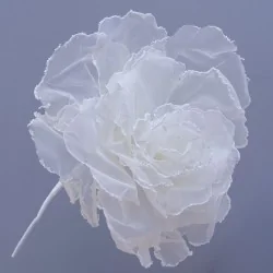 ROSE FIORE DM.60 H.65 AVORIO 1/12