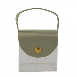 SUNSHINE BOX SALVIA CM.5X6X6 6/240