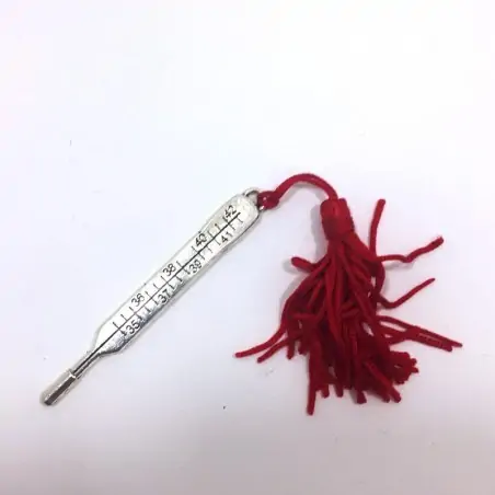 TERMOMETRO CON NAPPINA