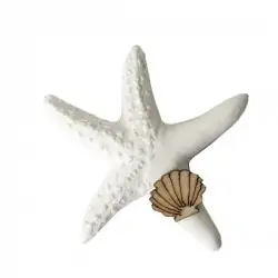 GESSETTI TEMA MARE STELLA E CONCHIGLIA LEGNO ONLINE NOZZE