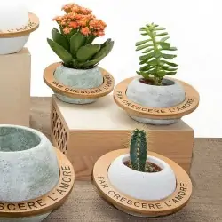 Vasi Terracotta con Frasi Bomboniere Piante Grasse