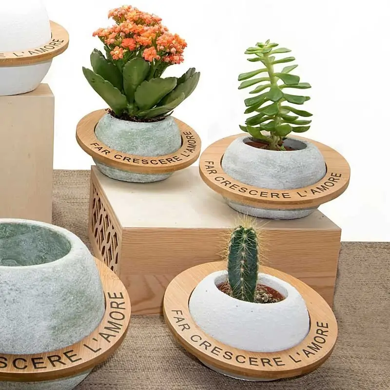 Vasi Terracotta con Frasi Bomboniere Piante Grasse