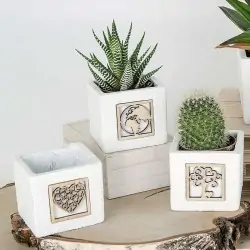 Vasetti per Piante Grasse Bomboniere