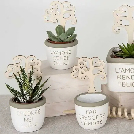 Bomboniere Vasetti Fai da Te Per Piante Grasse con Frase e