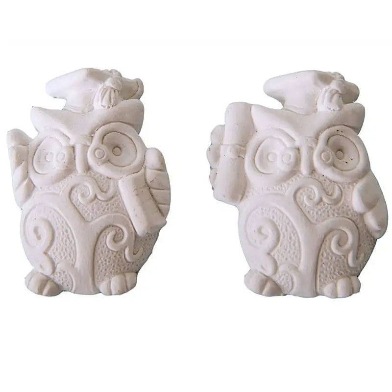 Gessetti gufo laurea