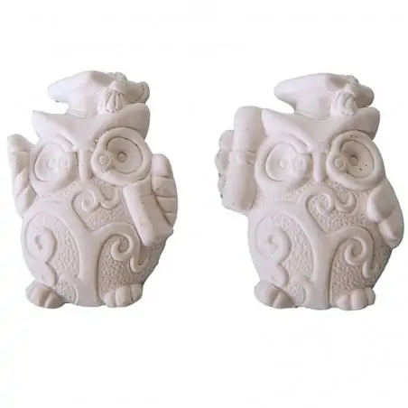 Gessetti gufo laurea